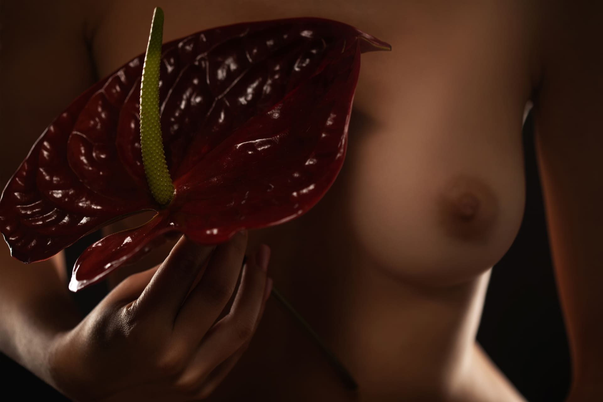 Nnippel- brustwarzen Escort Services