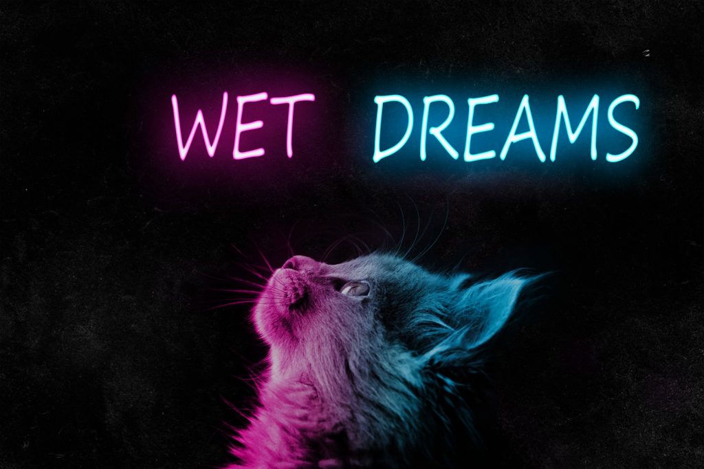 wetdreams Escort Services